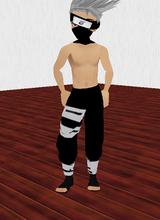 Guest_inuyasha1238