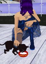 Guest_DjPoeske