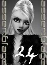 assemblage24