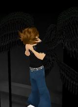 Guest_traik7