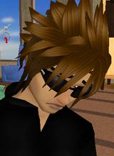 avatar picture