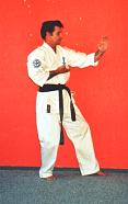 shihanherman