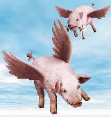 Guest_PigzOnTheWing