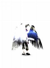 avatar picture