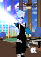 Guest_panda9445