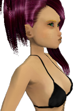 Guest_osidaos