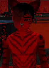 avatar picture