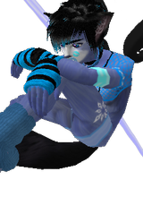 chaosmuffin