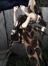 mizzwings
