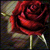 Guest_TomoLeto