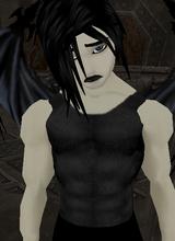 Guest_austin1396