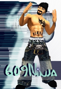 609Ninja