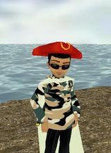 Sailorvista