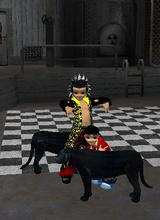 avatar image