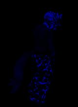 Guest_xxxdarkprincexxx