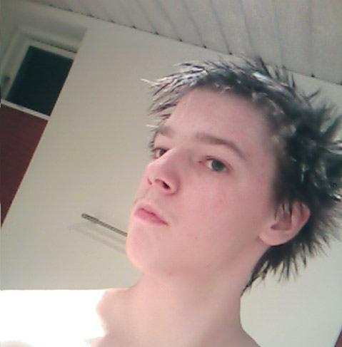 Guest_NollerHansen