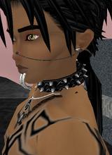 HawkPunk