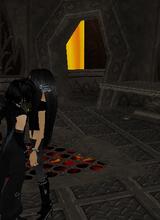 Guest_kimmysonlinenow