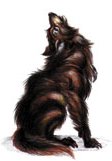 Guest_ZyloWarwolf