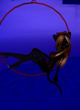 Guest_jazzy743