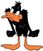 Guest_max999ha