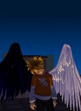 Guest_roll3434