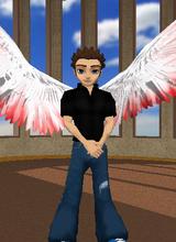 Guest_zunderwood265