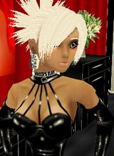 Apollymii
