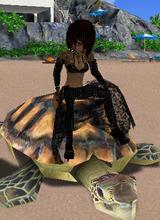 Guest_ratibus