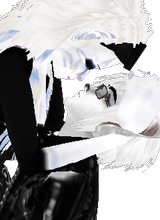 XxIchigoLolitaxX
