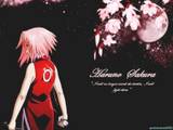 Guest_sakuraharuno210