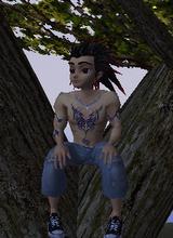 Guest_maveric2215