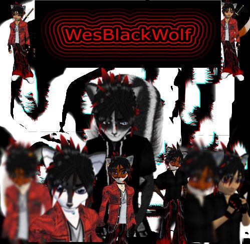 Guest_WesBlackWolf