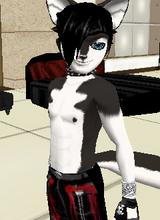 avatar picture