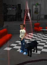 Guest_jacqmo