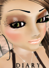 Diary