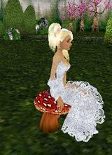 icarine