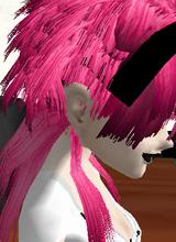 Guest_xDinosxRawrx