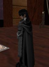 holininja_disabled_18128865
