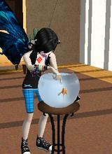 Guest_WhisperingShadeofBlu