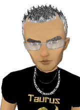 HaGeAdam