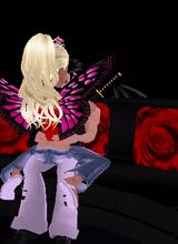 Guest_kingcobras14450