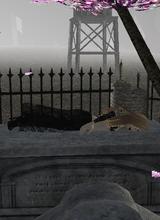 Guest_dj0jhun