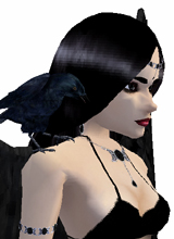 avatar picture