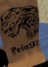 pein972