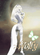 LilWolfyGrey