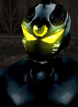 Guest_tsuchimono