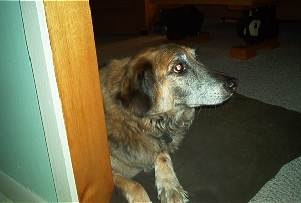 Guest_Stormcat90