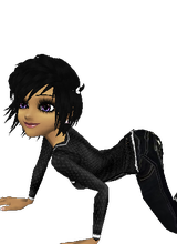 Guest_masch