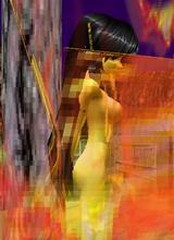 Carniveau